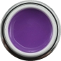 Preview: Colorgel 185 Juicy Purple