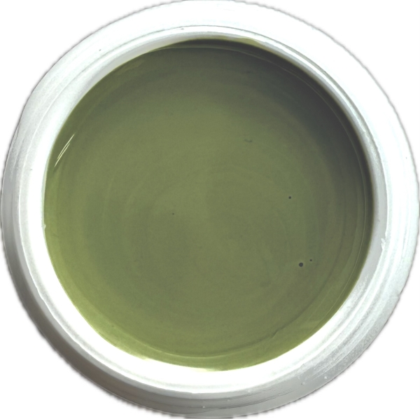 Colorgel FGMS-261